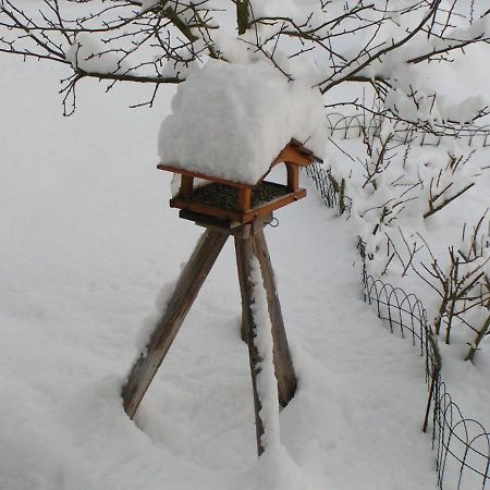 Fewo Talula - Sauerland Mit Hund Medebach Dış mekan fotoğraf