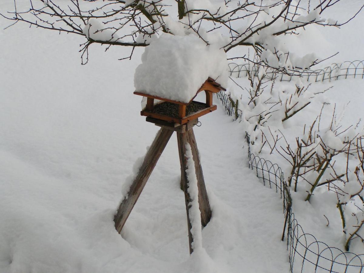 Fewo Talula - Sauerland Mit Hund Medebach Dış mekan fotoğraf