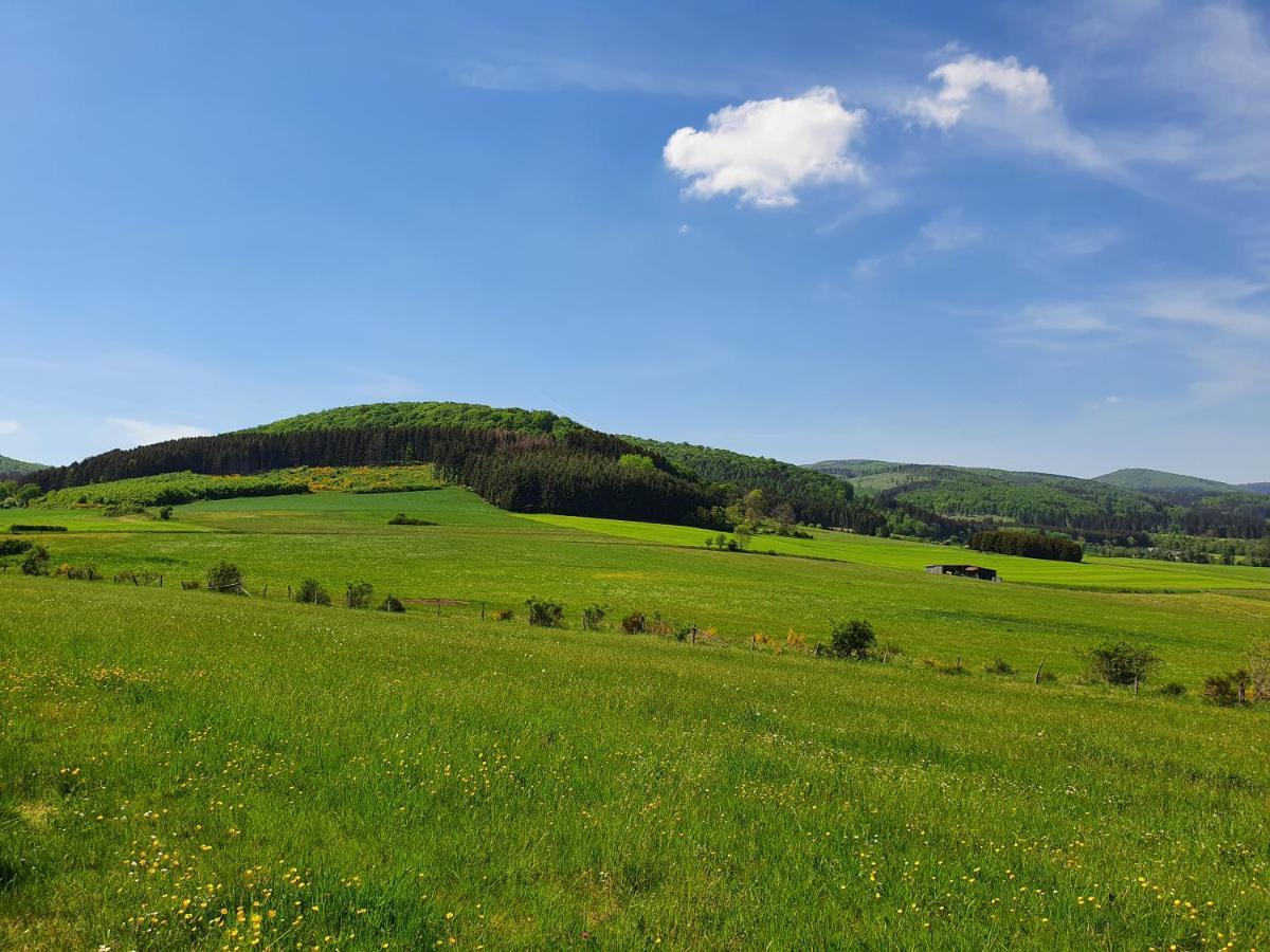 Fewo Talula - Sauerland Mit Hund Medebach Dış mekan fotoğraf