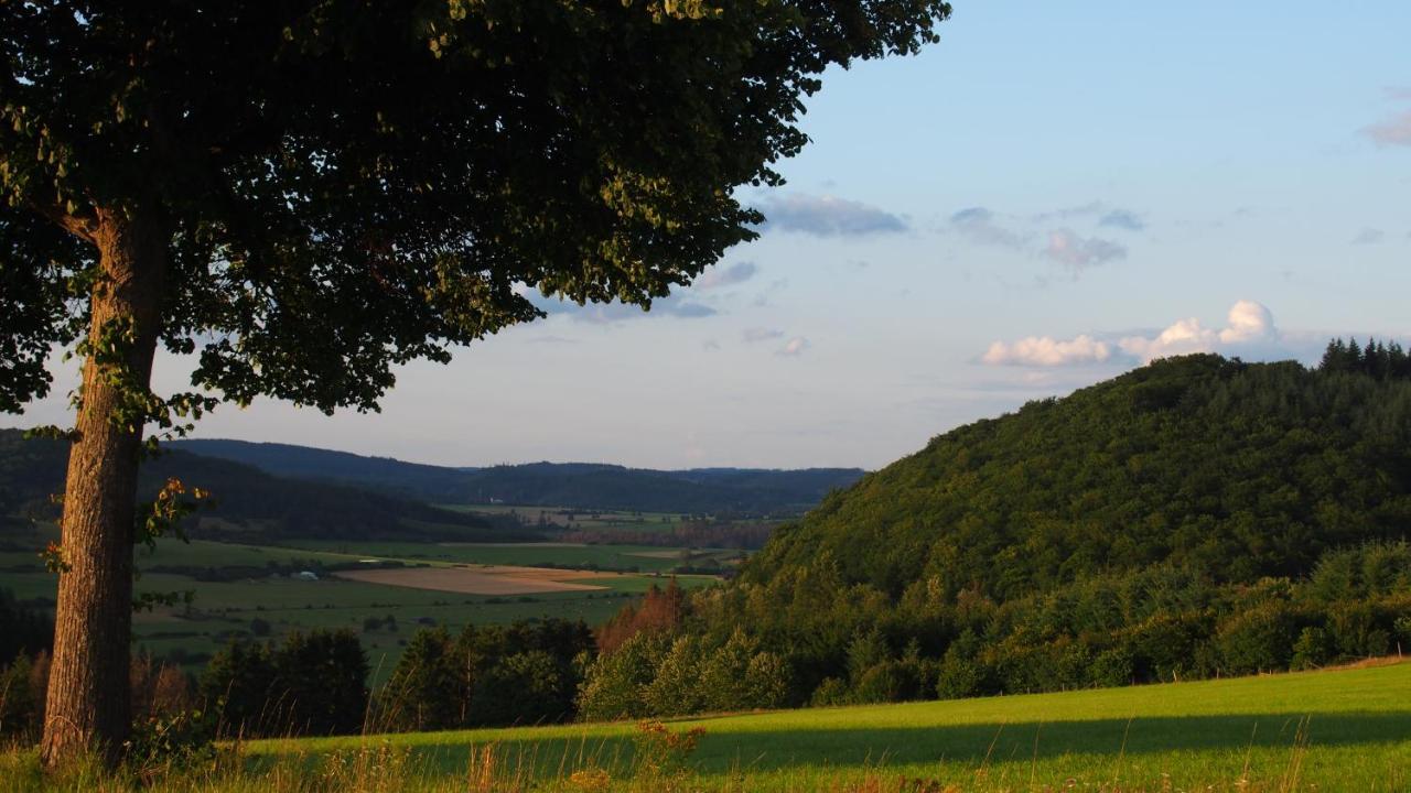 Fewo Talula - Sauerland Mit Hund Medebach Dış mekan fotoğraf