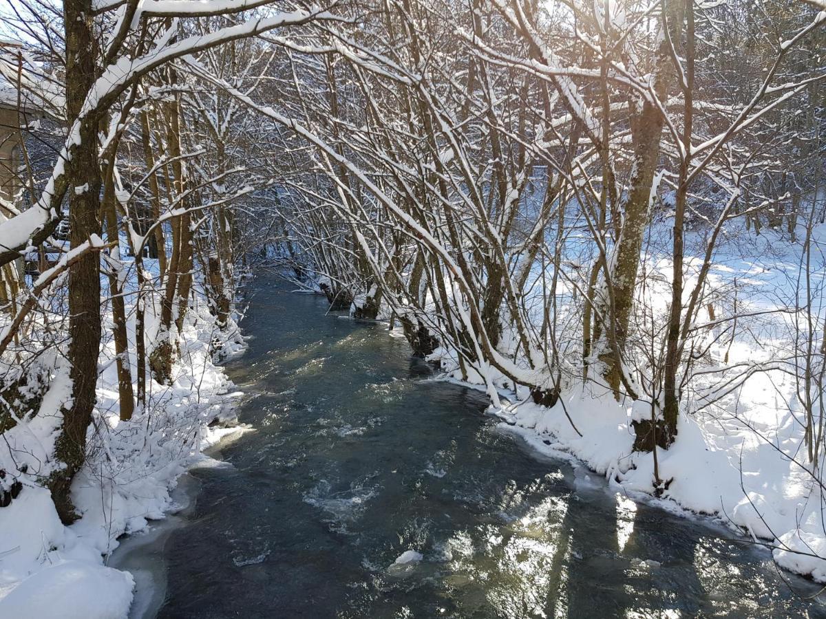 Fewo Talula - Sauerland Mit Hund Medebach Dış mekan fotoğraf