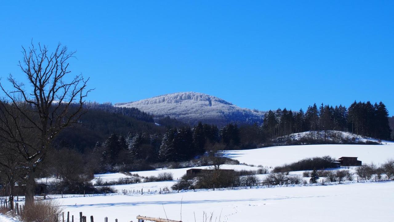 Fewo Talula - Sauerland Mit Hund Medebach Dış mekan fotoğraf