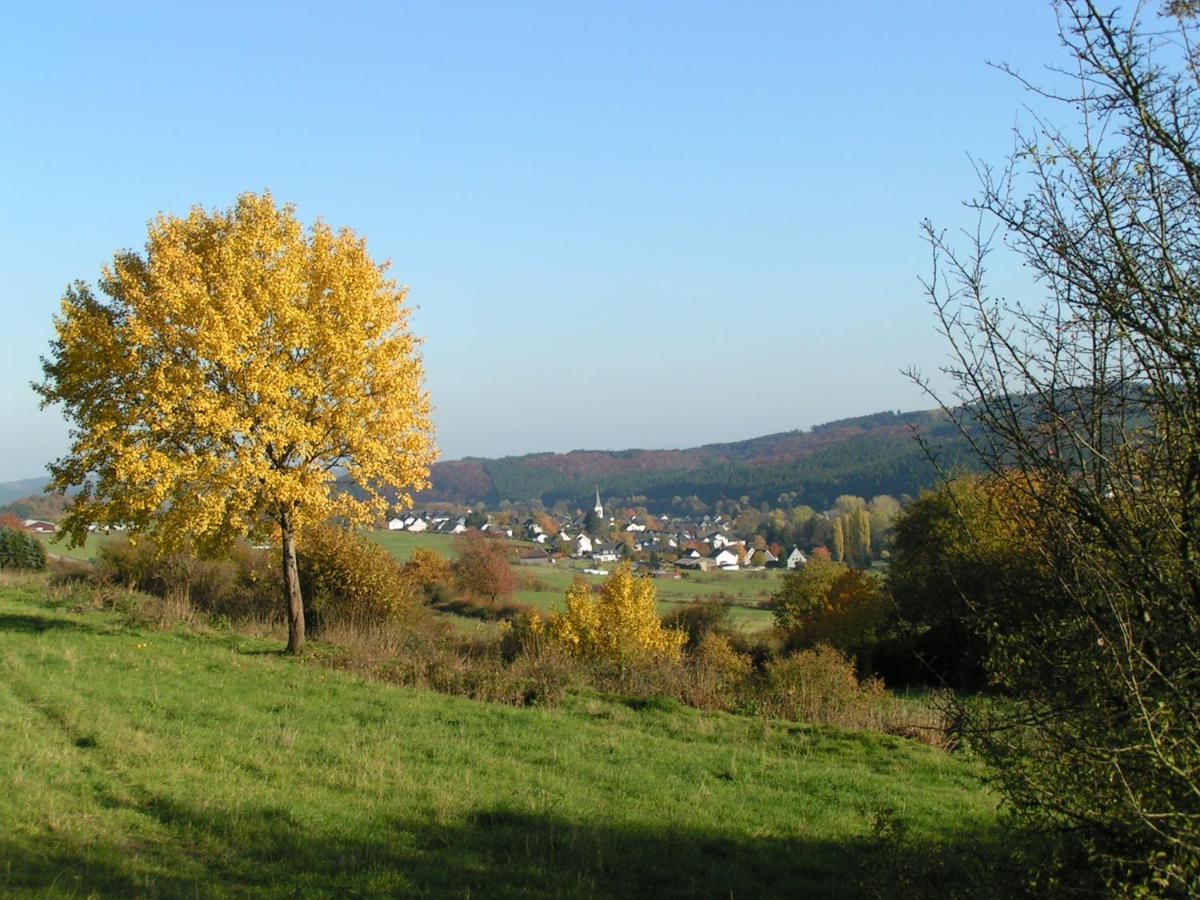 Fewo Talula - Sauerland Mit Hund Medebach Dış mekan fotoğraf