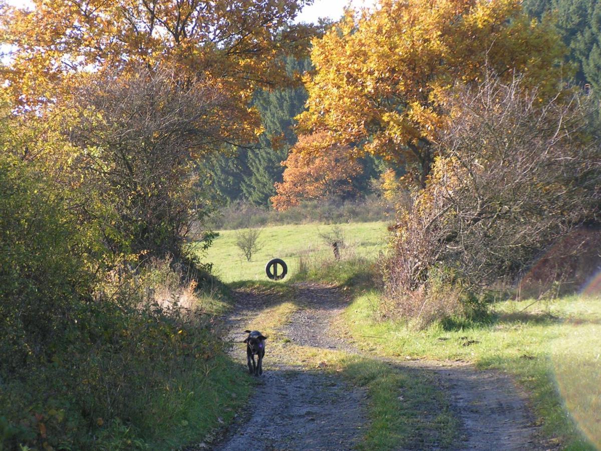 Fewo Talula - Sauerland Mit Hund Medebach Dış mekan fotoğraf